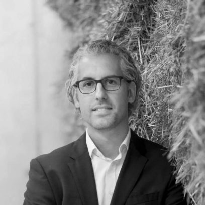 Portrait von Dr. Thomas Hoppe